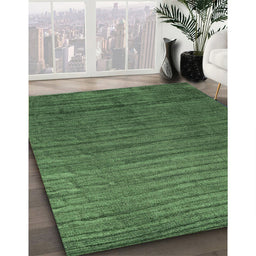 Contemporary Shamrock Green Modern Rug in Family Room, con1896
