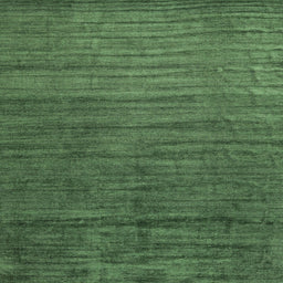 Sideview of Machine Washable Contemporary Shamrock Green Rug, wshcon1896