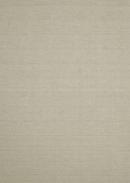 Contemporary Tan Brown Solid Rug, con191