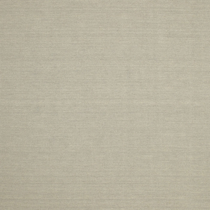 Contemporary Tan Brown Solid Rug, con191