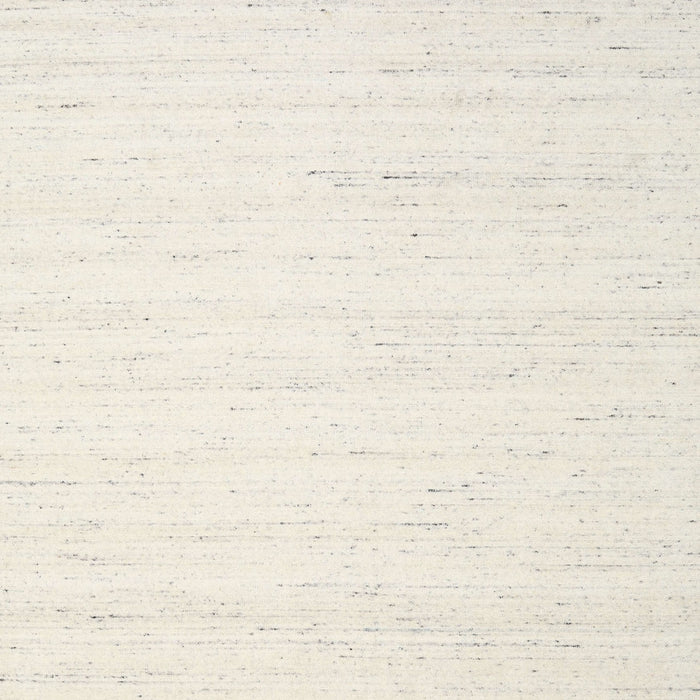 Contemporary Champagne Beige Solid Rug, con1924