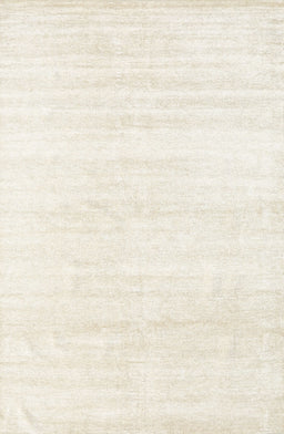 Contemporary Beige Solid Rug, con1925