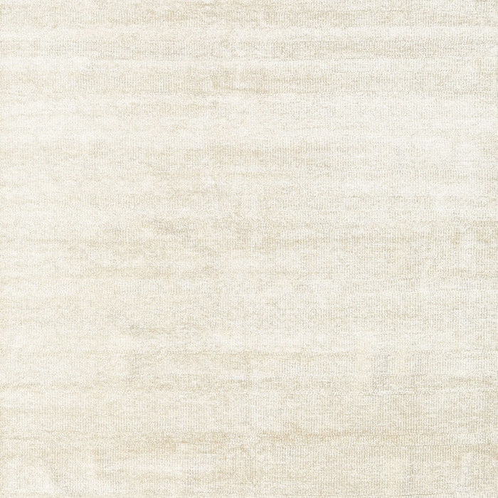 Machine Washable Contemporary Whip Beige Rug, wshcon1925