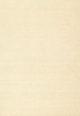 Machine Washable Contemporary Gold Rug, wshcon1930