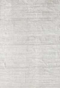 Machine Washable Contemporary Pale Silver Gray Rug, wshcon1947