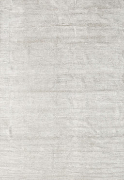 Machine Washable Contemporary Pale Silver Gray Rug, wshcon1947