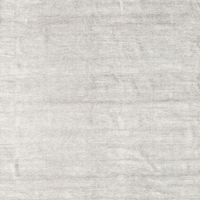 Machine Washable Contemporary Pale Silver Gray Rug, wshcon1947