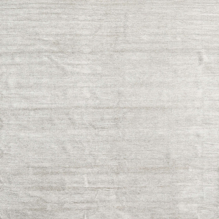 Sideview of Machine Washable Contemporary Pale Silver Gray Rug, wshcon1947