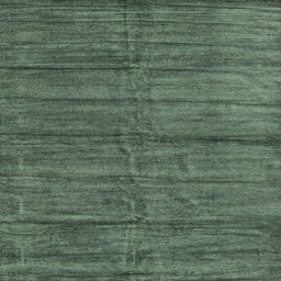 Sideview of Machine Washable Contemporary Green Rug, wshcon1957