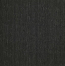 Machine Washable Contemporary Charcoal Black Rug, wshcon195