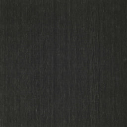 Square Contemporary Charcoal Black Modern Rug, con195