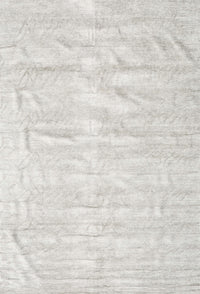 Machine Washable Contemporary Pale Silver Gray Rug, wshcon1960