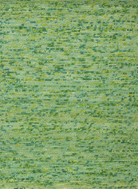 Machine Washable Contemporary Dark Lime Green Rug, wshcon1975