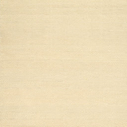 Sideview of Machine Washable Contemporary Gold Rug, wshcon1981