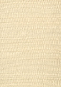 Machine Washable Contemporary Gold Rug, wshcon1981