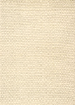 Machine Washable Contemporary Brown Rug, wshcon1983