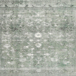 Sideview of Machine Washable Contemporary Pale Silver Gray Rug, wshcon2007
