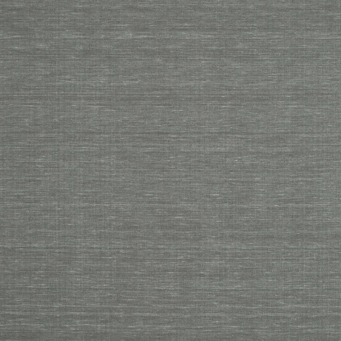 Contemporary Platinum Gray Modern Rug, con200