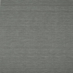 Sideview of Machine Washable Contemporary Platinum Gray Rug, wshcon200