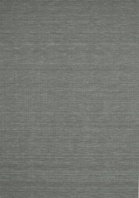 Machine Washable Contemporary Platinum Gray Rug, wshcon200