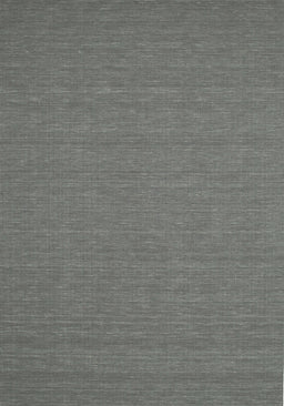 Machine Washable Contemporary Platinum Gray Rug, wshcon200