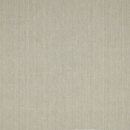 Square Contemporary Tan Brown Solid Rug, con204