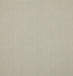 Contemporary Tan Brown Solid Rug, con204