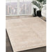 Contemporary Tan Brown Solid Rug in Family Room, con2055