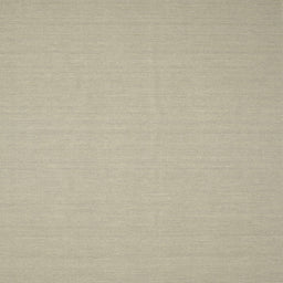 Square Contemporary Tan Brown Solid Rug, con205