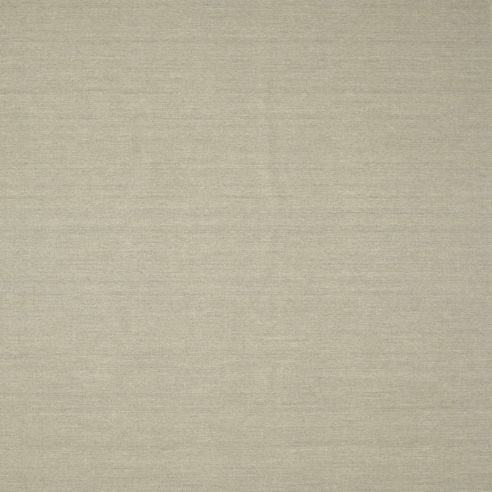 Square Contemporary Tan Brown Solid Rug, con205