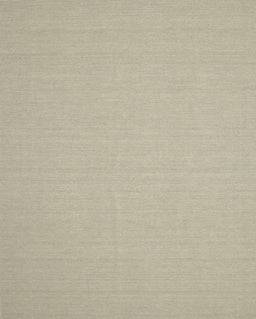 Contemporary Tan Brown Solid Rug, con205