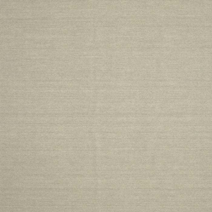 Contemporary Tan Brown Solid Rug, con205