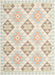 Contemporary Tan Brown Gold Southwestern Rug, con2063