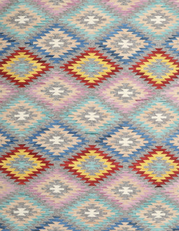 Contemporary Tan Brown Southwestern Rug, con2064