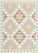 Contemporary Tan Brown Southwestern Rug, con2066