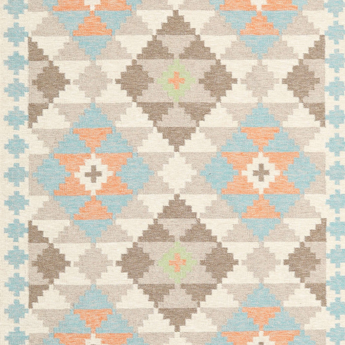 Contemporary Tan Brown Southwestern Rug, con2066