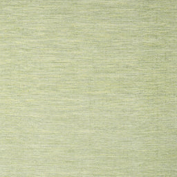 Square Contemporary Avocado Green Modern Rug, con2077