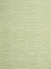 Machine Washable Contemporary Avocado Green Rug, wshcon2077