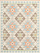 Contemporary Tan Brown Gold Southwestern Rug, con2079