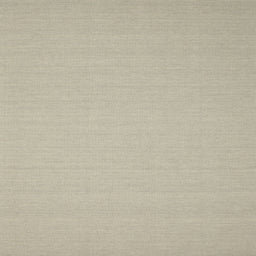 Round Contemporary Tan Brown Solid Rug, con207