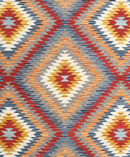 Contemporary Brown Southwestern Rug, con2080