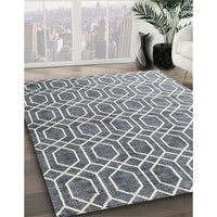 Contemporary Silver Gray Modern Rug, con2085