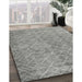 Machine Washable Contemporary Dark Gray Rug in a Family Room, wshcon2086