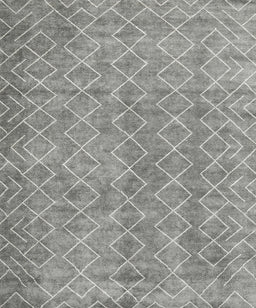 Machine Washable Contemporary Dark Gray Rug, wshcon2086