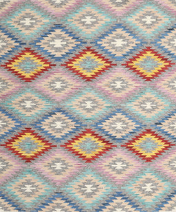 Contemporary Tan Brown Southwestern Rug, con2088