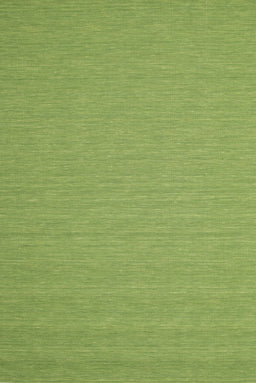 Contemporary Green Modern Rug, con208