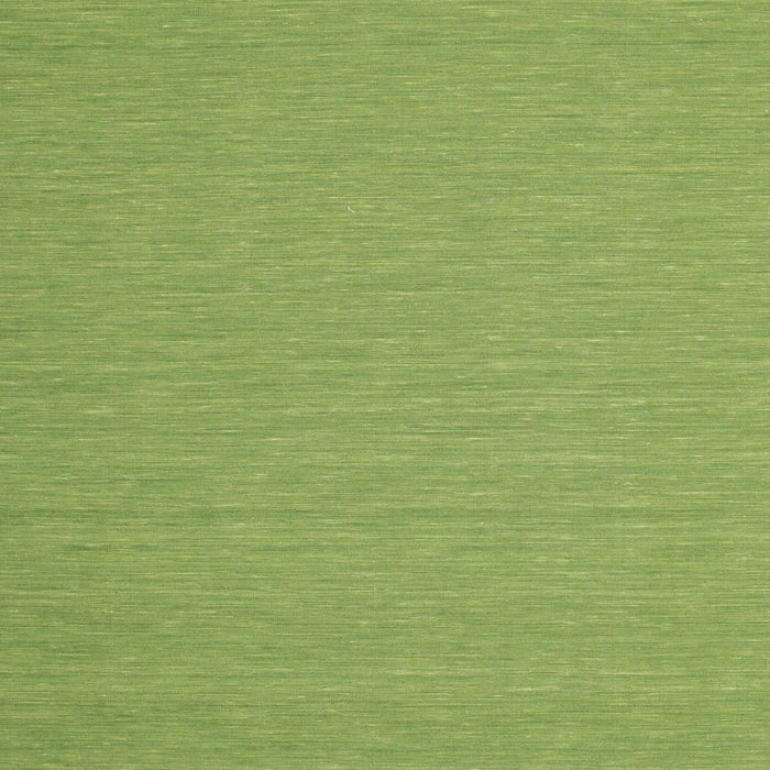 Contemporary Green Modern Rug, con208