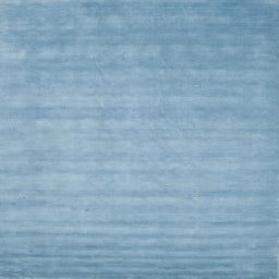 Square Contemporary Denim Blue Modern Rug, con20