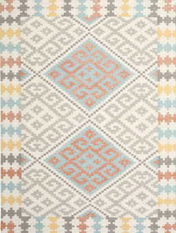 Contemporary Tan Brown Southwestern Rug, con2104
