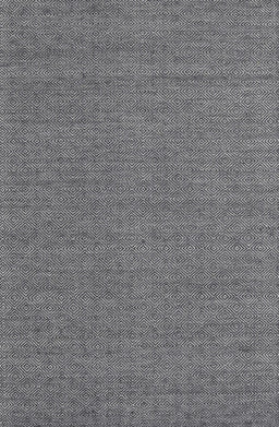 Machine Washable Contemporary Dark Gray Rug, wshcon2109
